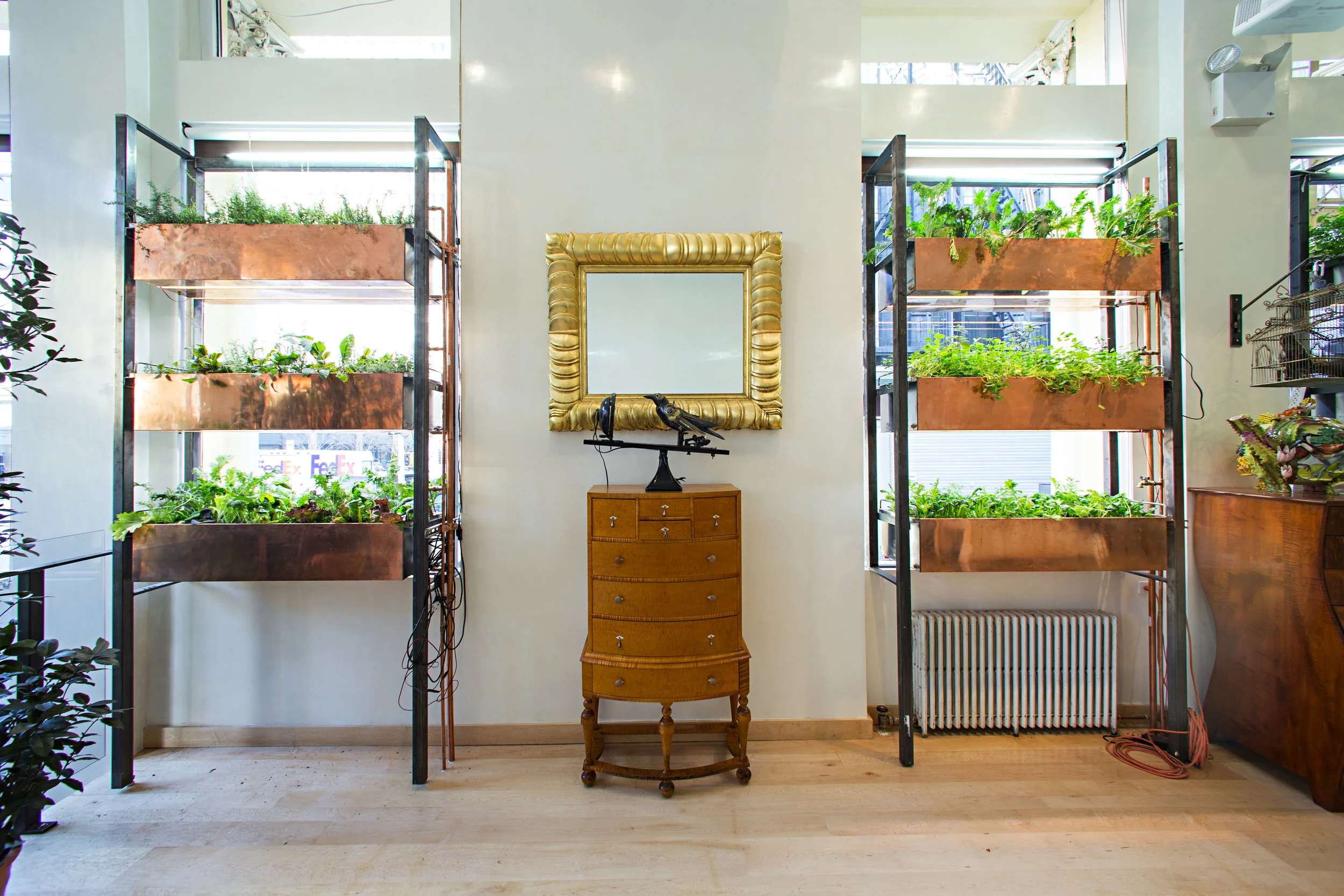 BOULEY_Botanical_303.jpg