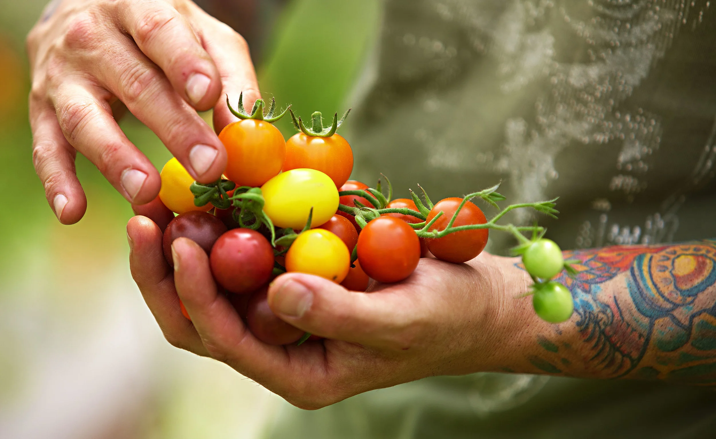ST_Farm1274_a.jpg