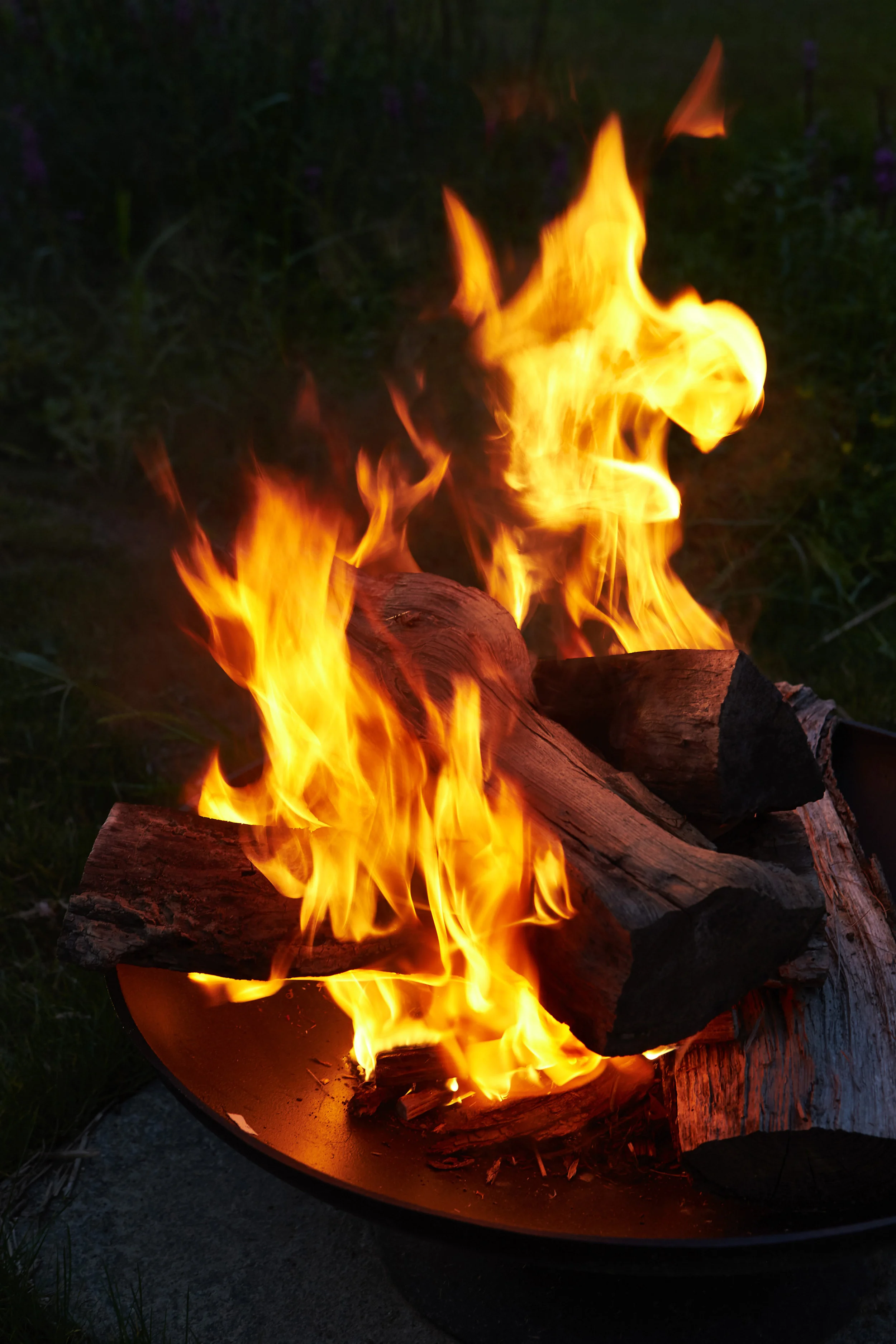 20150831_Lior_food_fire005.jpg