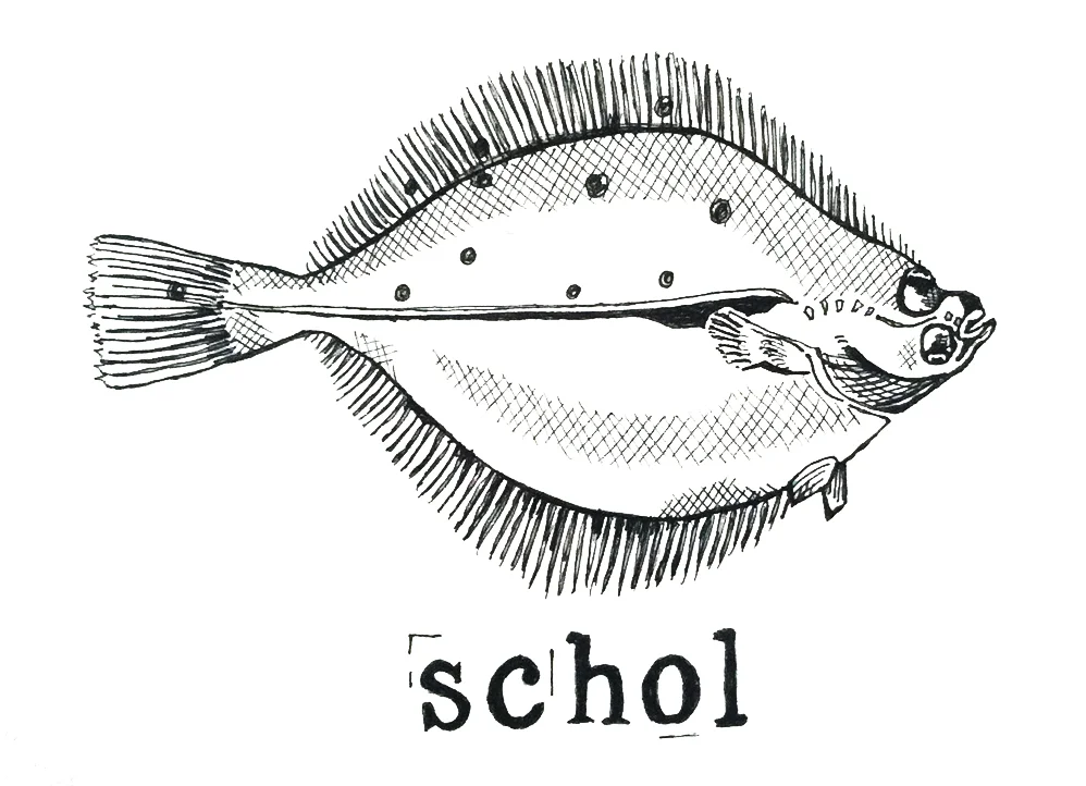 schol.jpg