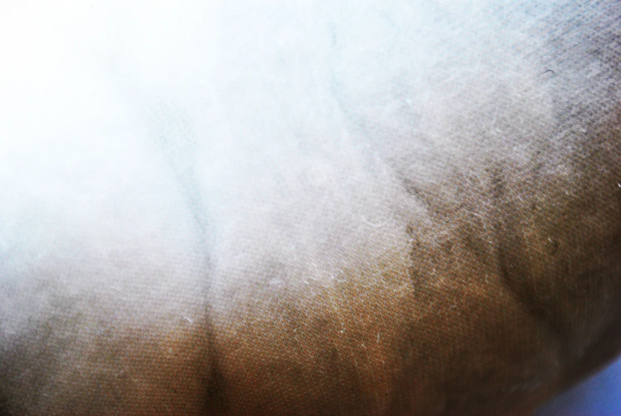 tumblr_my24jlzGD51skiypxo3_1280.jpg