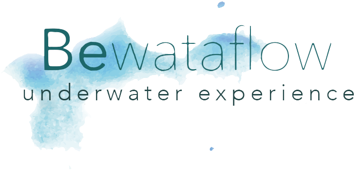 be-underwaterexperience-tranp.png