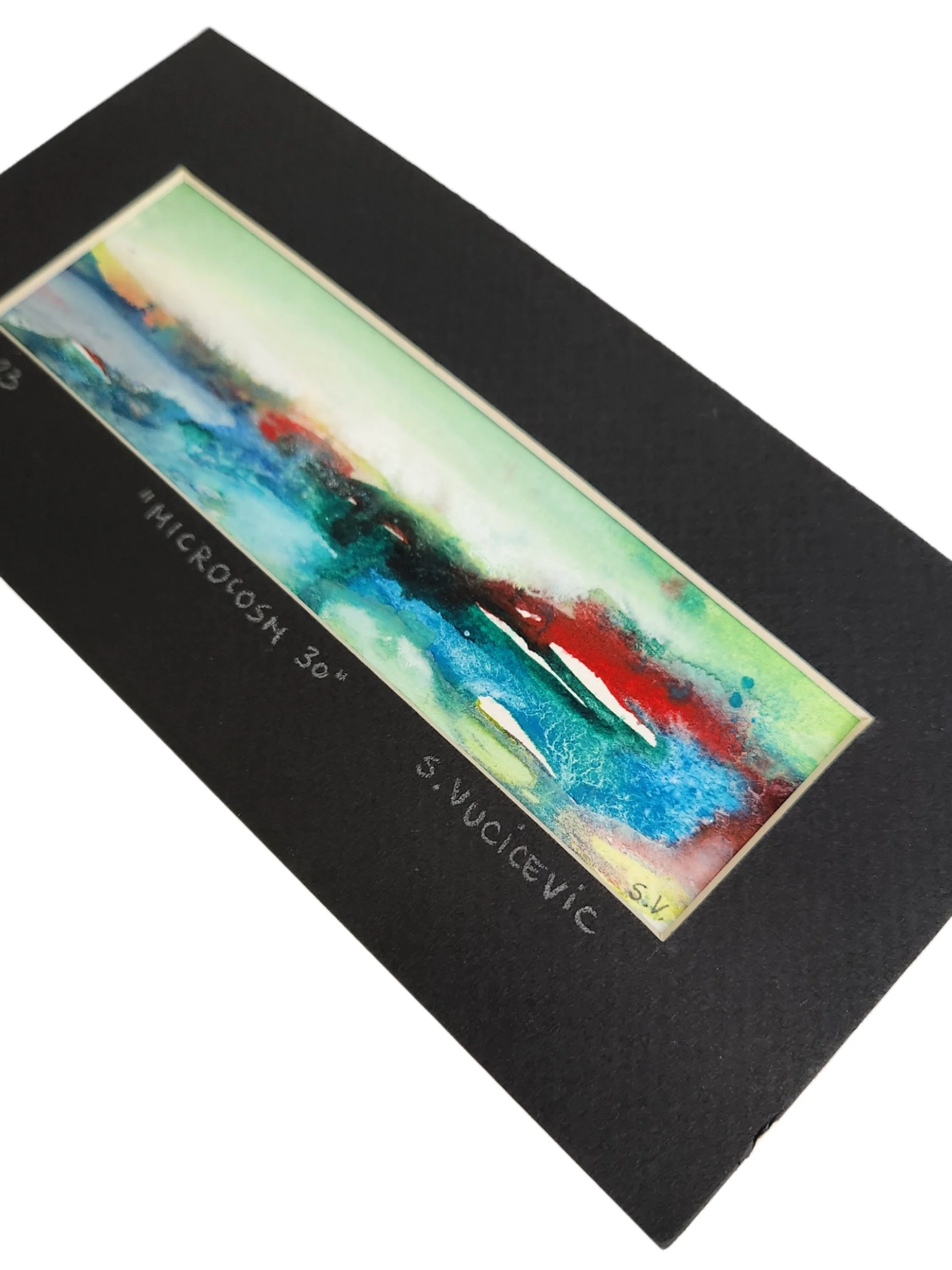 Microcosm 30 by Sandra Vucicevic.2.jpg