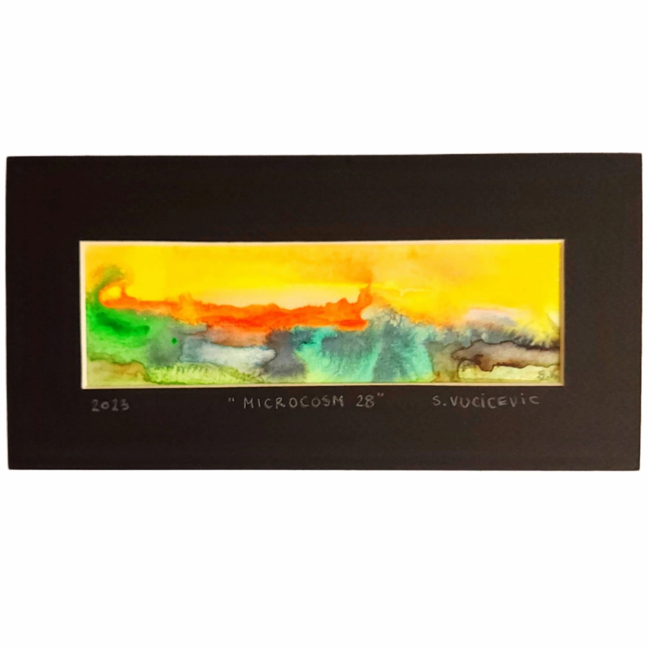 Microcosm 28 by Sandra Vucicevic.jpg