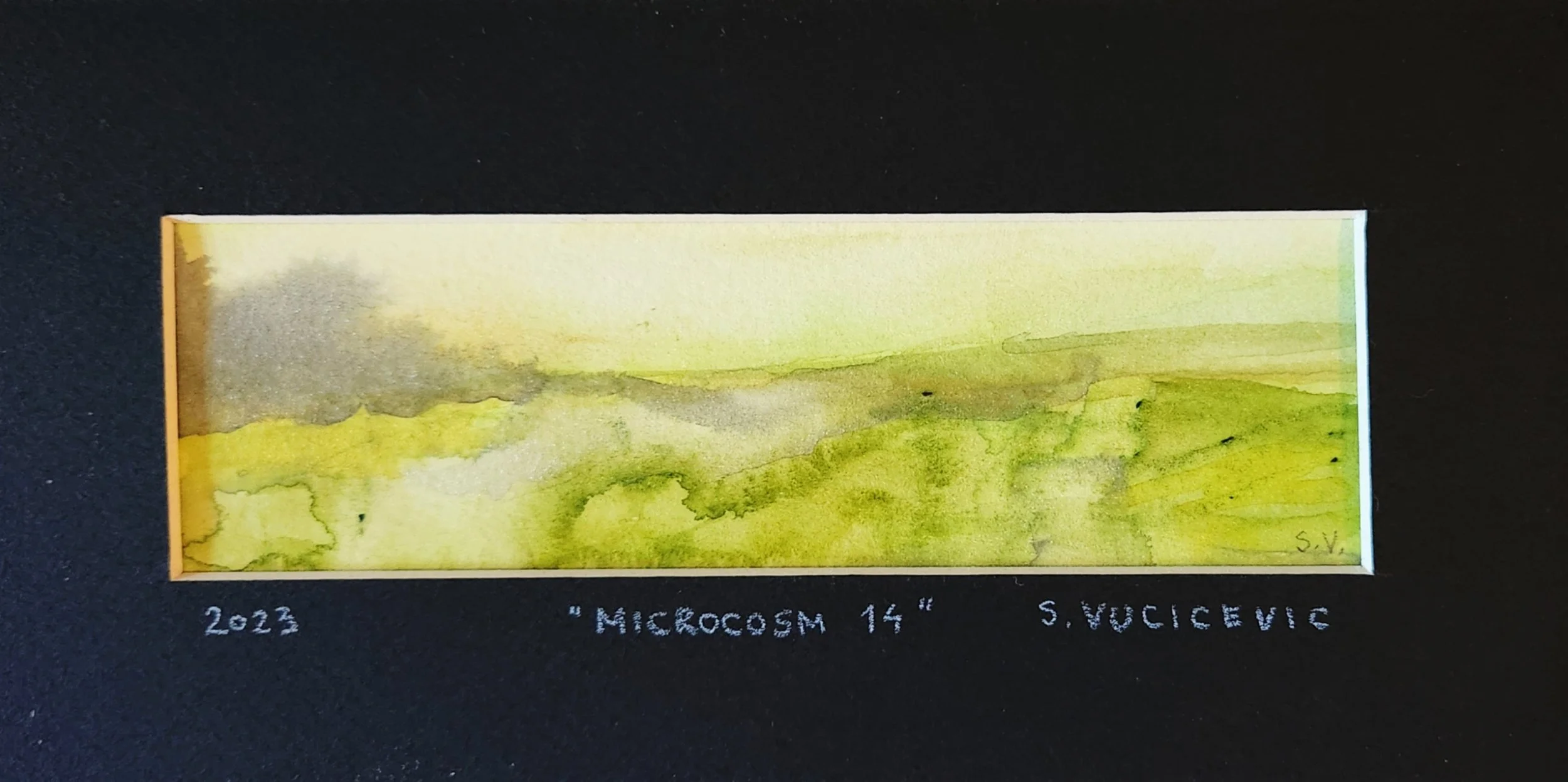 MICROCOSM 14 by Sandra Vucicevic.1.jpg