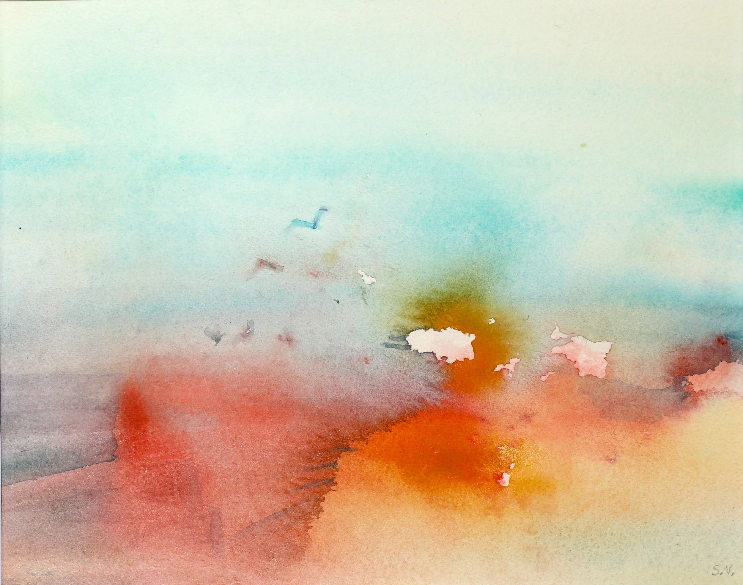 Sea Smoke by Sandra Vucicevic 2024.1.JPG