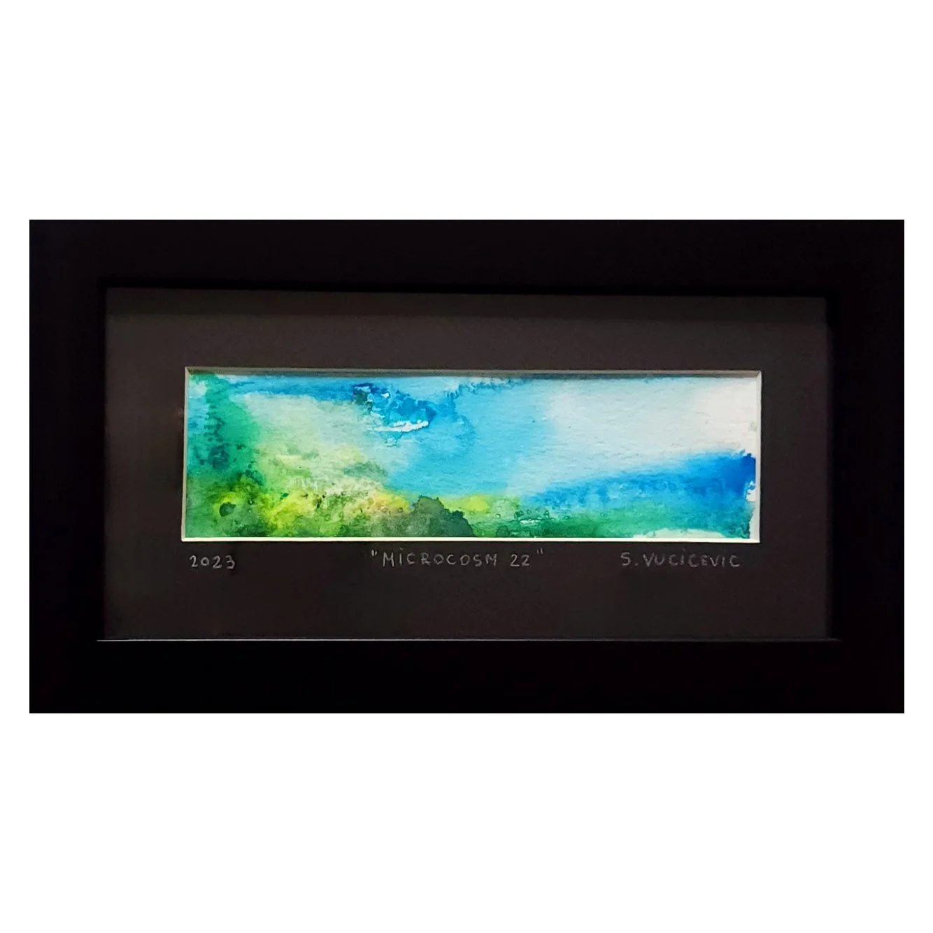Microcosm 22 by Sandra Vucicevic.1.jpg