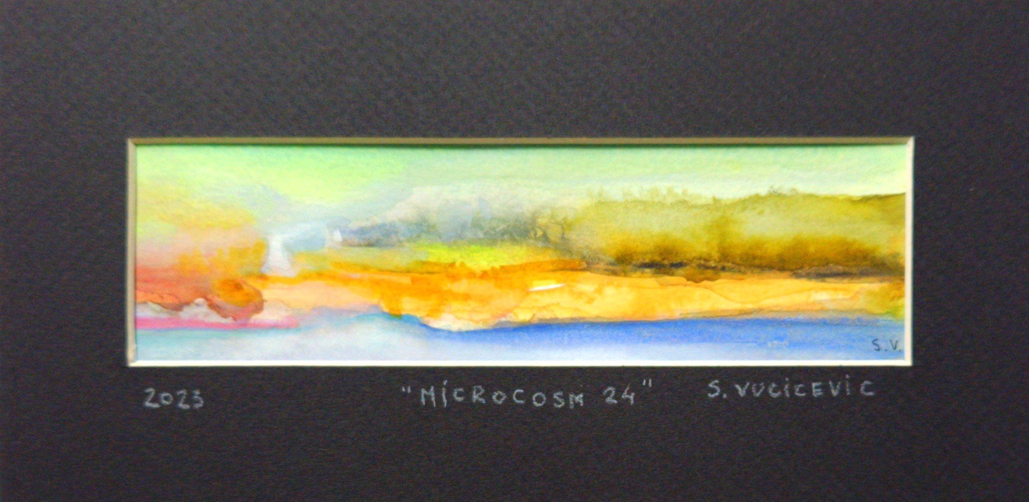 Microcosm 24 by Sandra Vucicevic.jpg