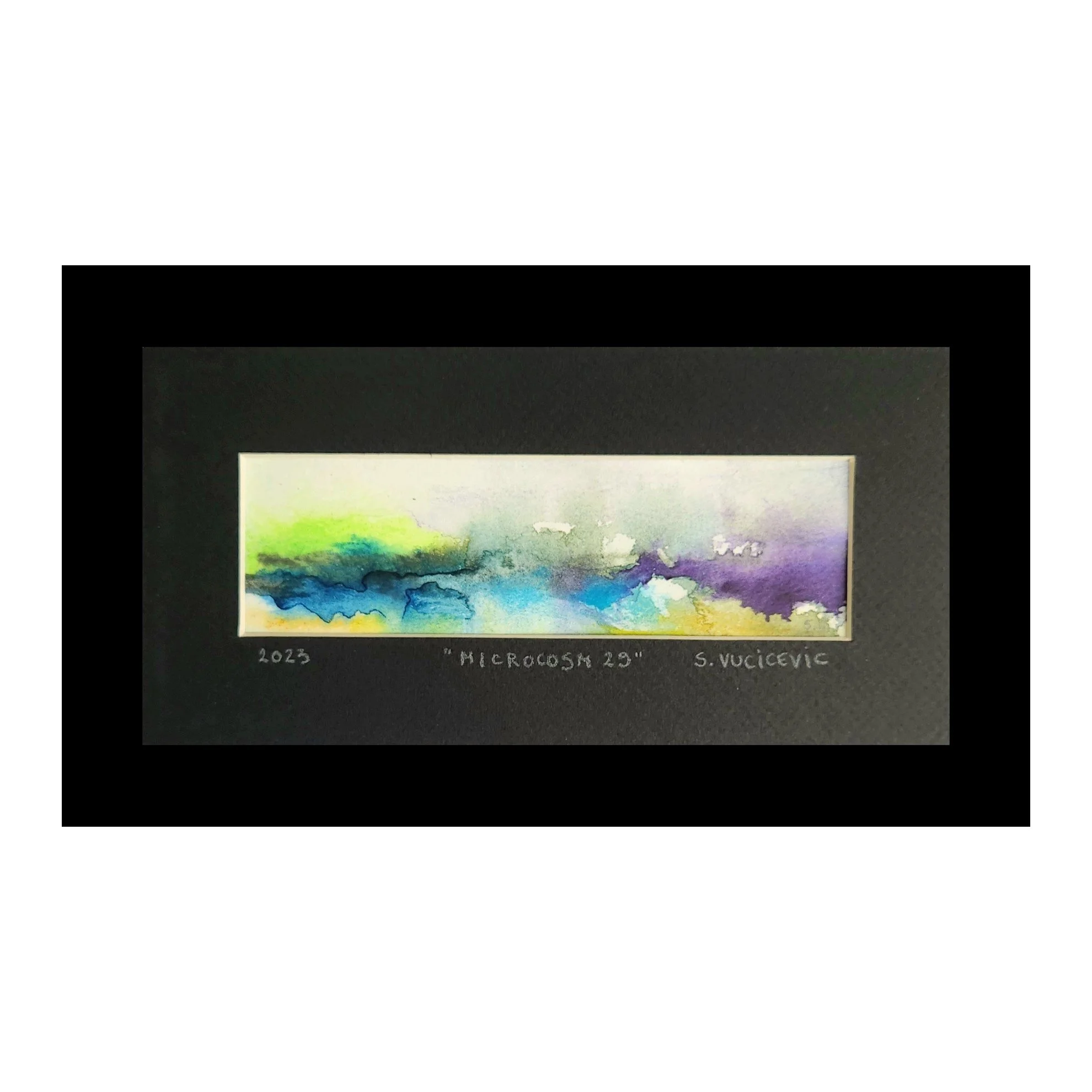 Microcosm 29 by Sandra Vucicevic.jpg