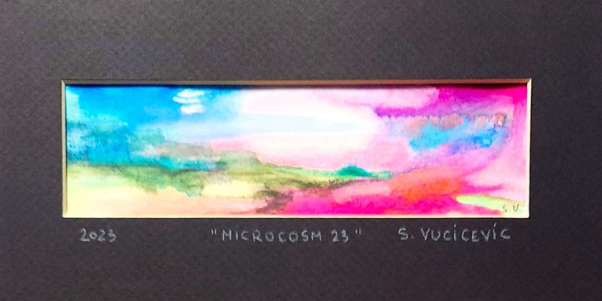 Microcosm 23 by Sandra Vucicevic.jpg