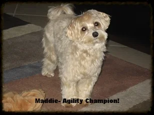 maddie.jpg
