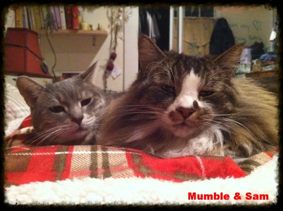 Mumble and Sam