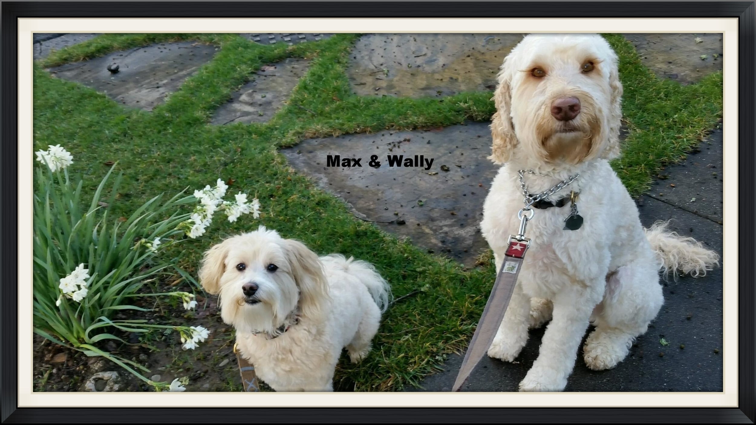 Max and Wally