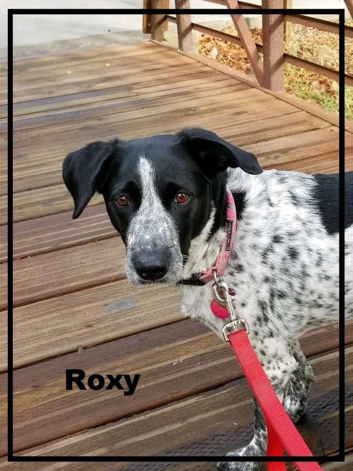 Roxy