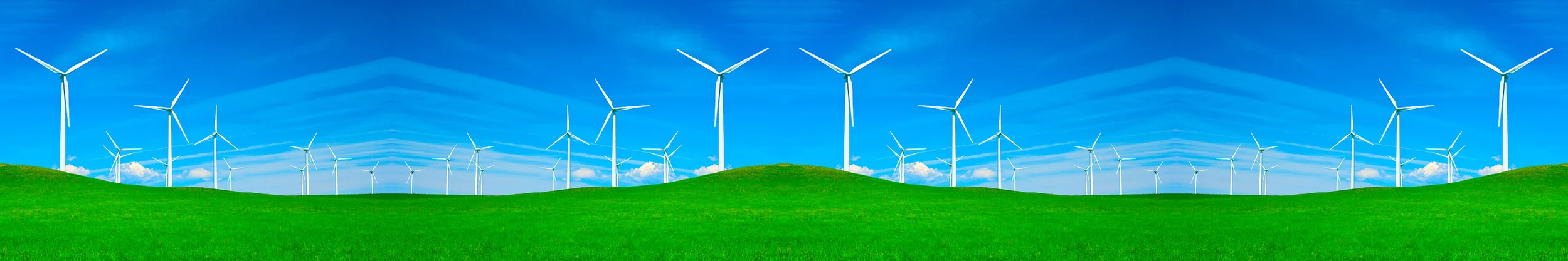 BELTS: "CIVIC"  - sold out