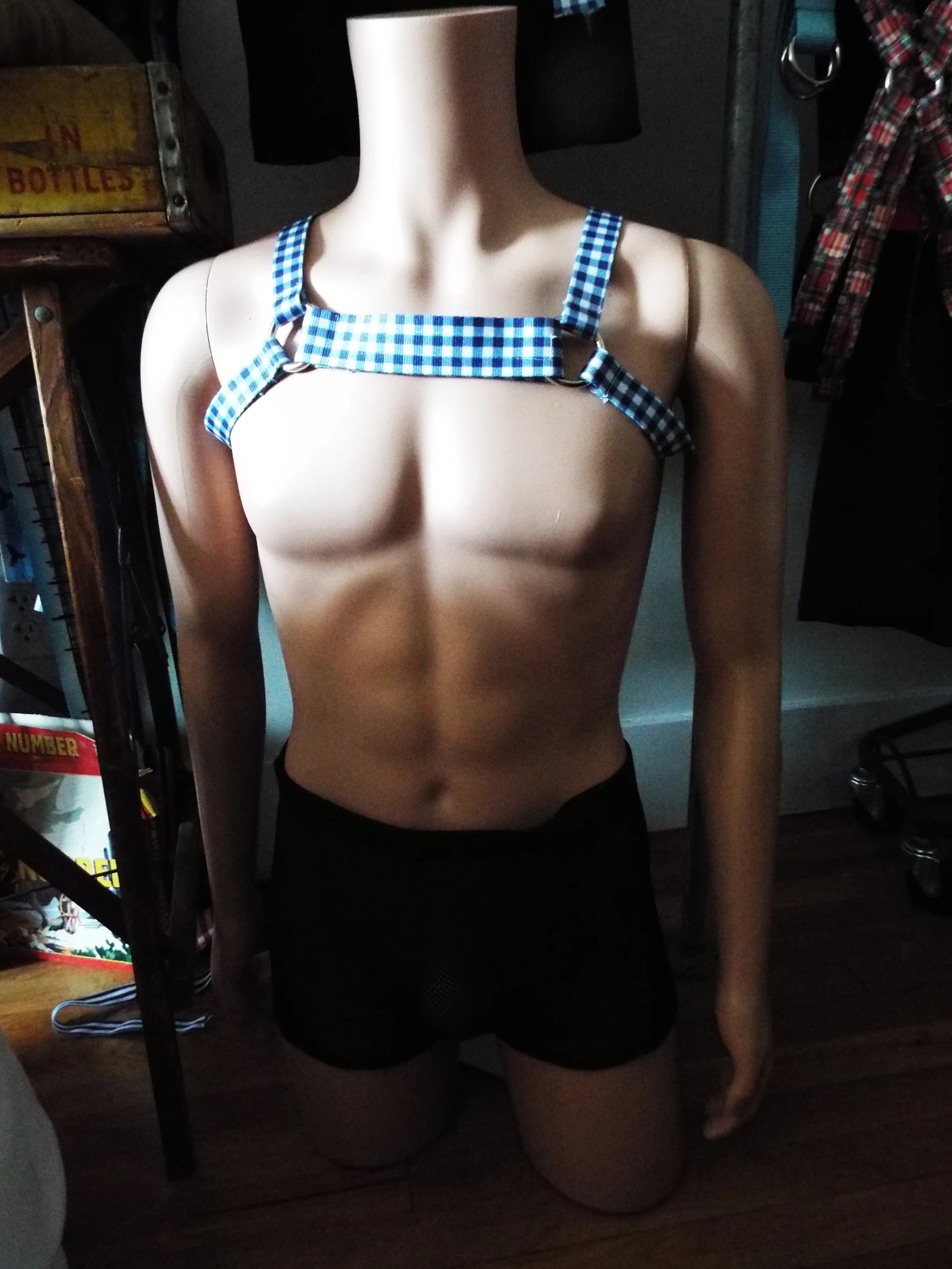 gingham harness