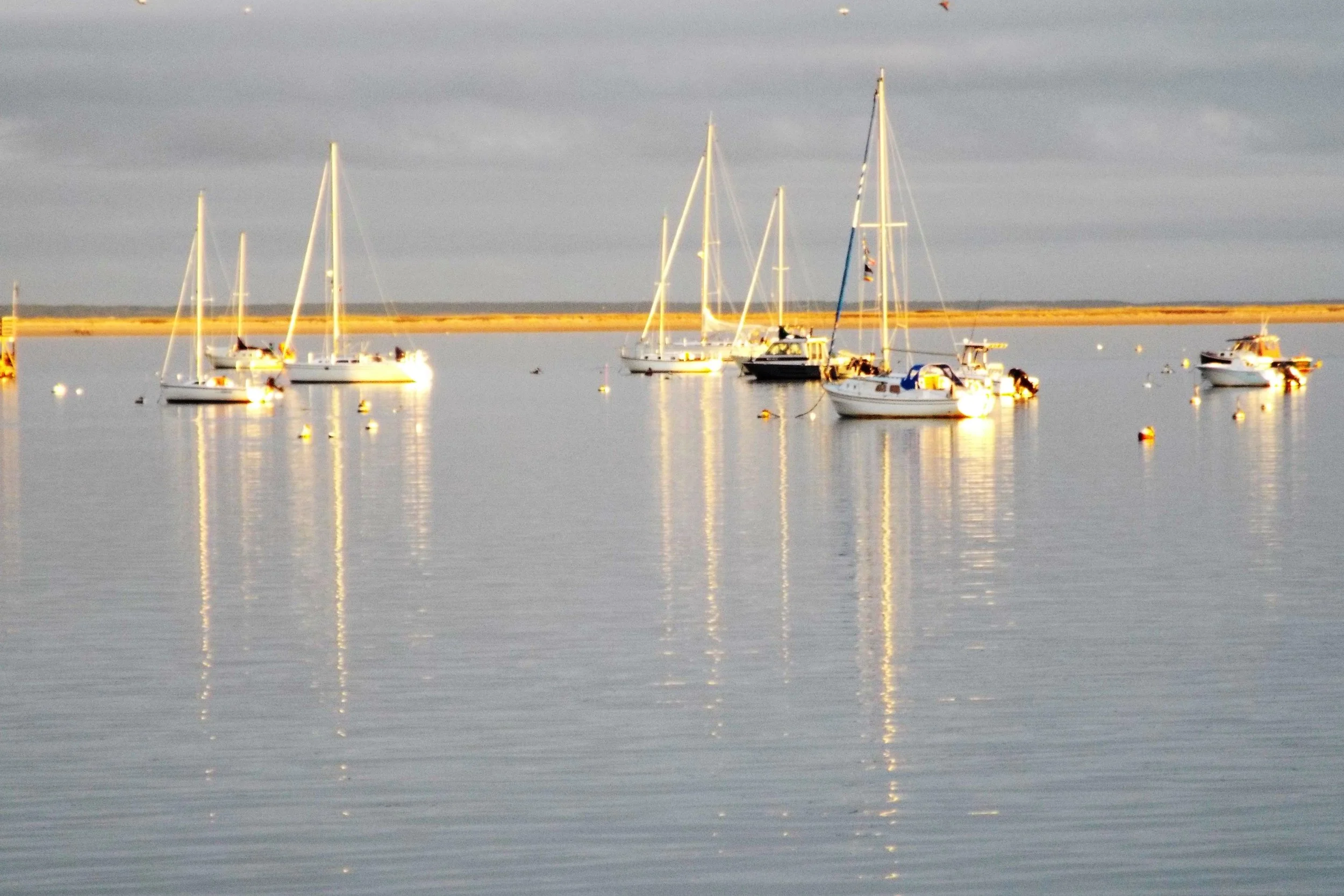 belt: bay reflections