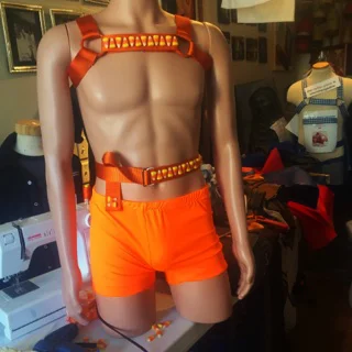 you design it harness