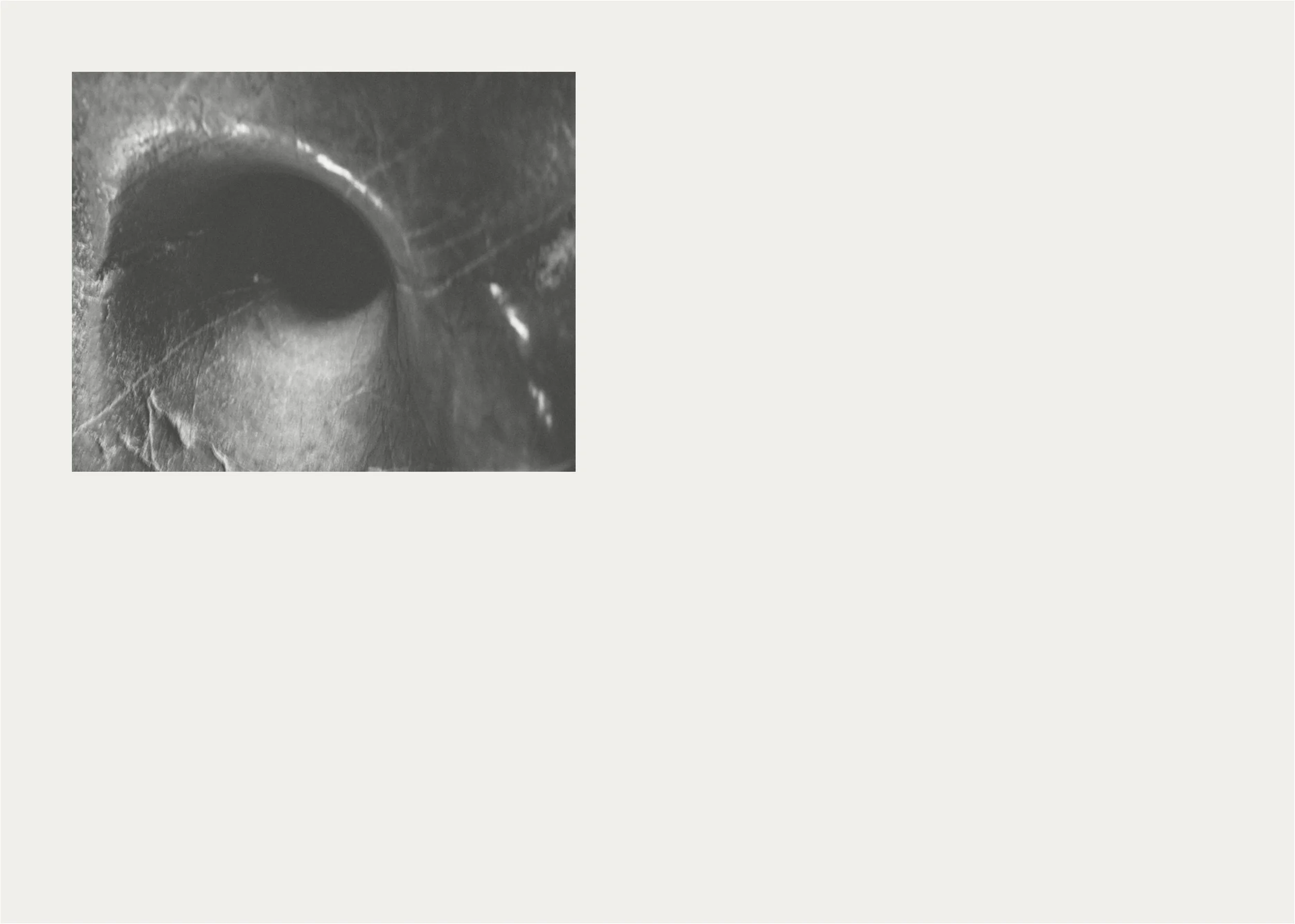 A_Roots_Whisper_website_pages-to-jpg-0016.jpg