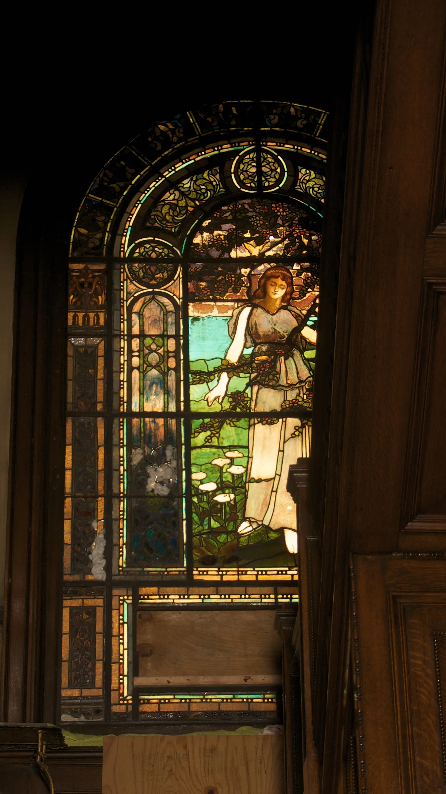 DSC_0017.jpg