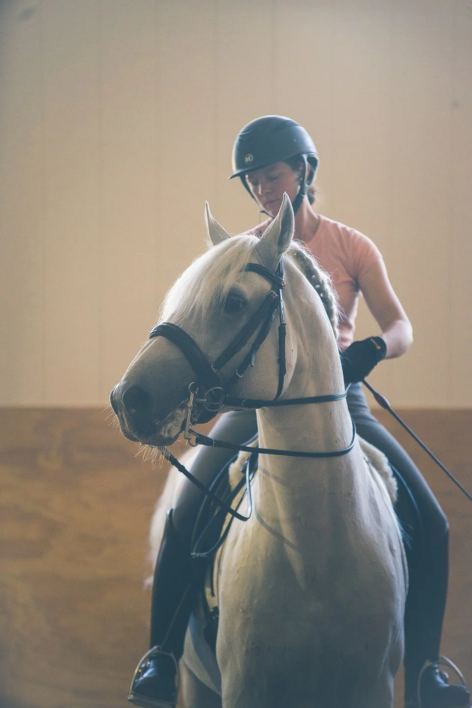 Maestoso Marina in morning training