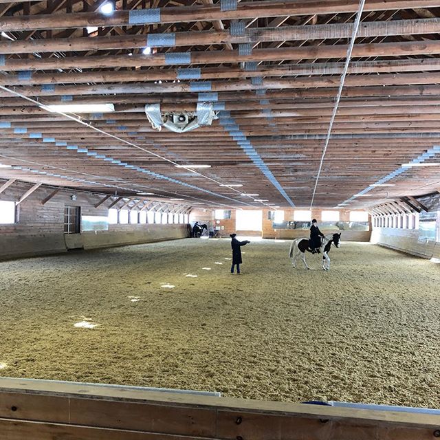Sarah, Lizzie, and Kim are at the Patricia Kottas-Heldenberg clinic in Apple Knoll Farm in Millis, Massachusetts! We look forward to hosting her in spring 2019!