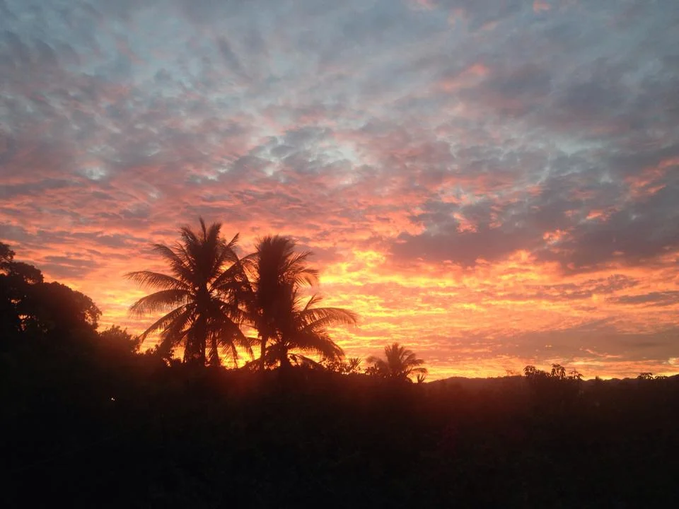 Stunning sunrise from Cori's rooftop.