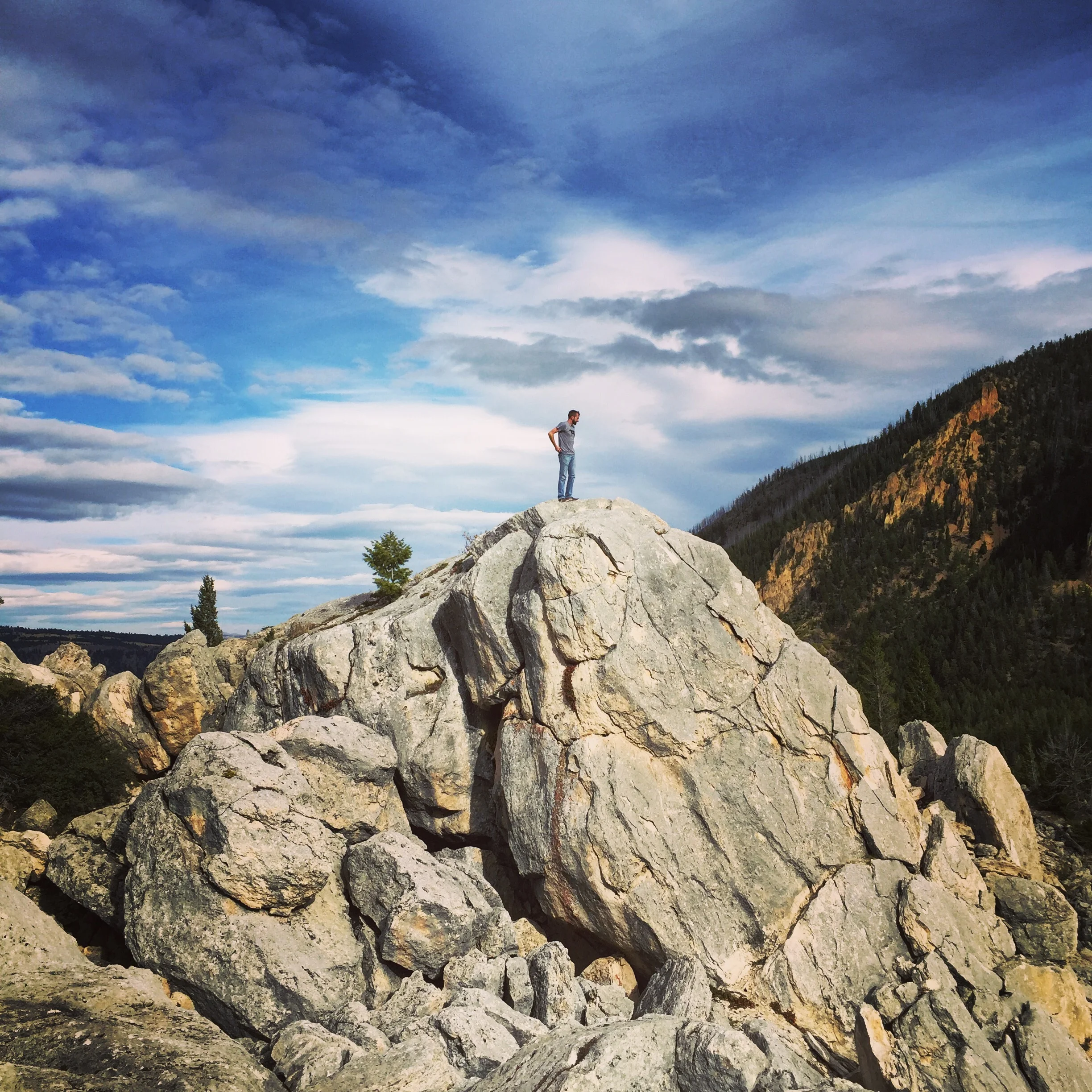 My partner in crime, checking out the view from up high.