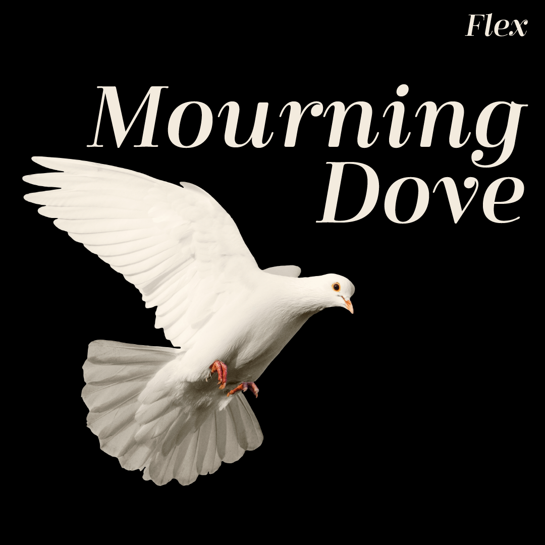 Mourning Dove - Flex.png