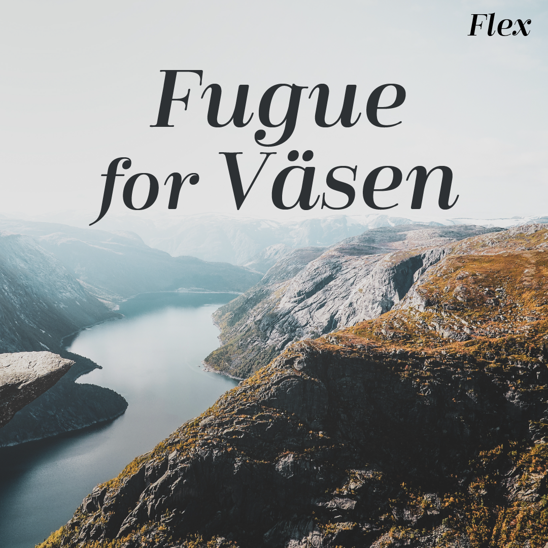 Fugue for Väsen - Flex.png