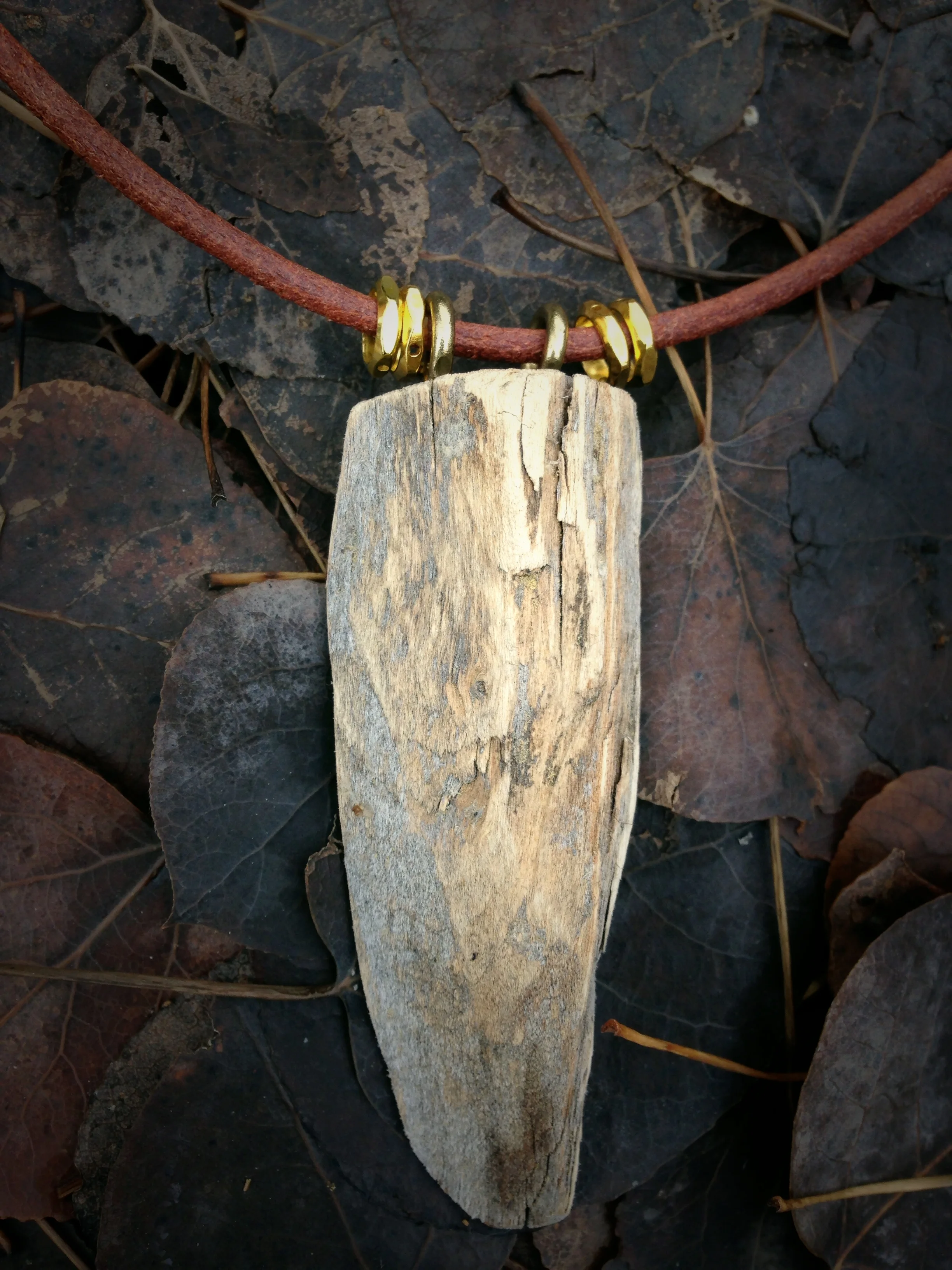 Ipad Photos Nov 2014 887.JPG