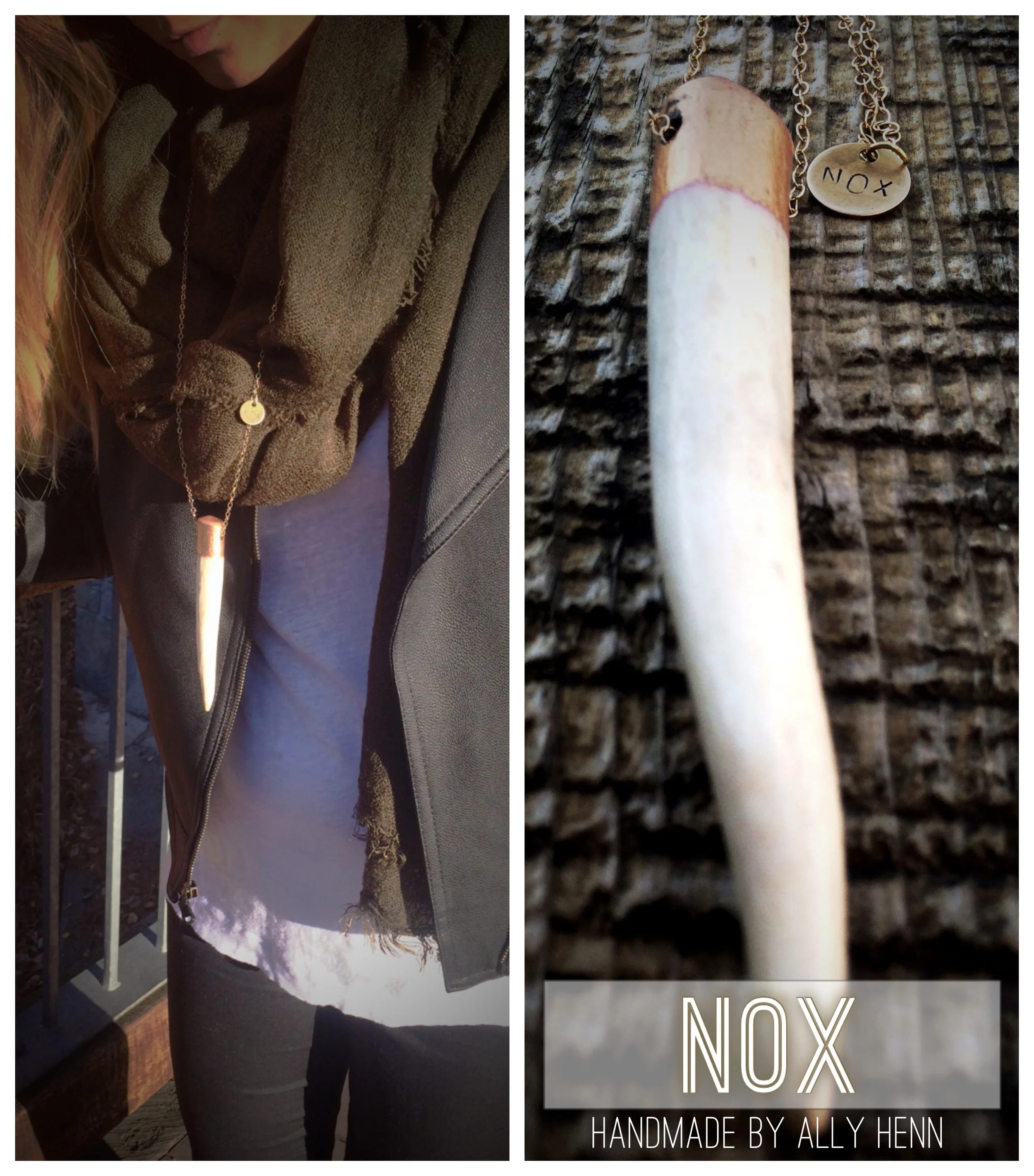 Ipad Photos Nov 2014 580.JPG