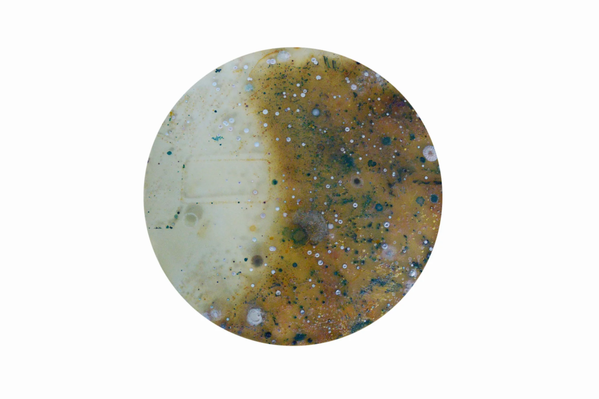 microbiome01.jpg