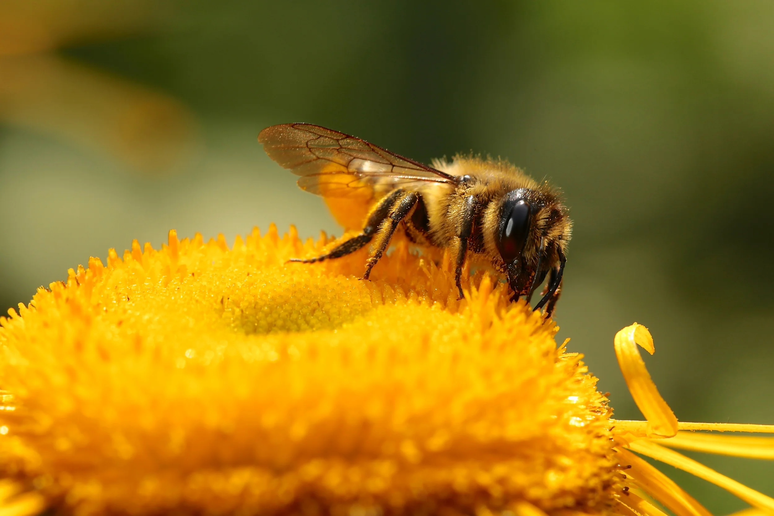 3G8B1490 - versie 2.JPG