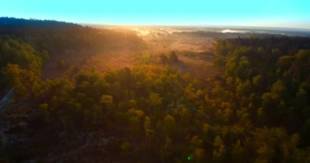 Als een arend die van de Kempe naar het Maasland vliegt.