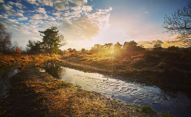 Very happy to catch the only sunrays that touched and coloured our landscape last week! #hiking #travelphotography #nisifilters #canon #nationaalparkhogekempen #ziepbeekvallei #lanaken #maasmechelen #travelphotography #limburg #visitmaasmechelen #vis