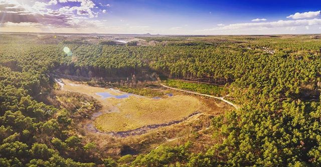 Belgian nature is preparing itself for the return of the sun. #visitlimburg #visitmaasmechelen #nationaalparkhogekempen #nature #naturephotography #hiking #drone #dronepanorama #spring