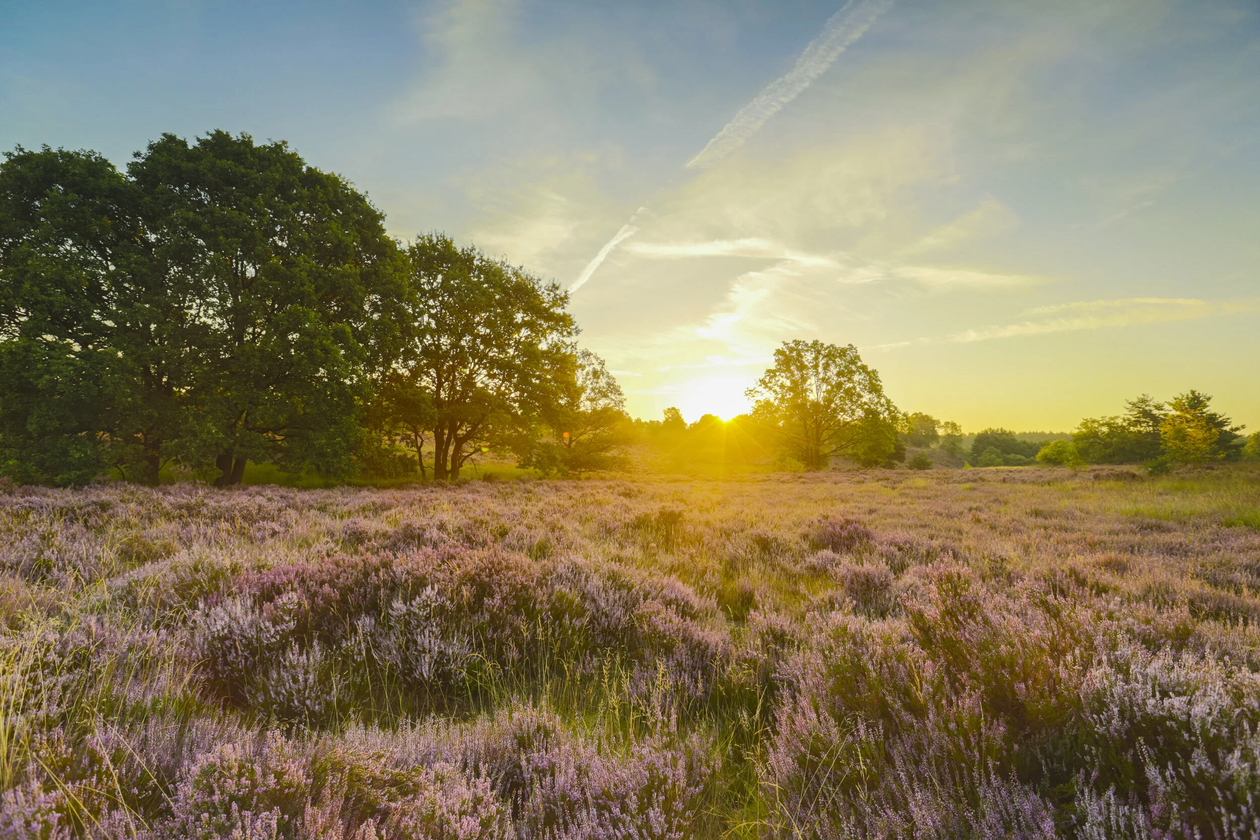 zonsondergang Mechelse hei gert 2017.jpg