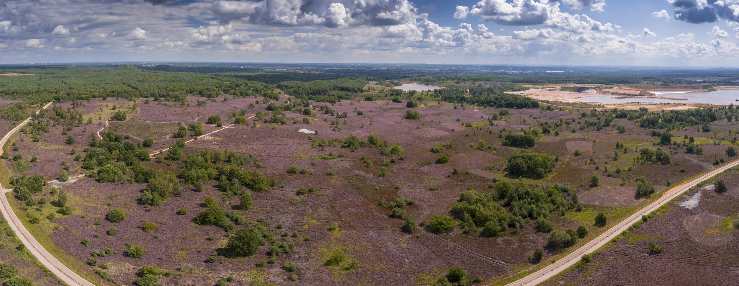 nphk mechelse heide pano heide drone augustus 2019-2.jpg