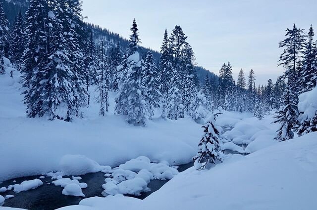The beautifull Creek Mamai flowing to Lake Baikal in Russia. I fell in love with these Taigaforests......#russia #naturephotography #nature #hiking #taiga #mamai #baikal #siberia #canon