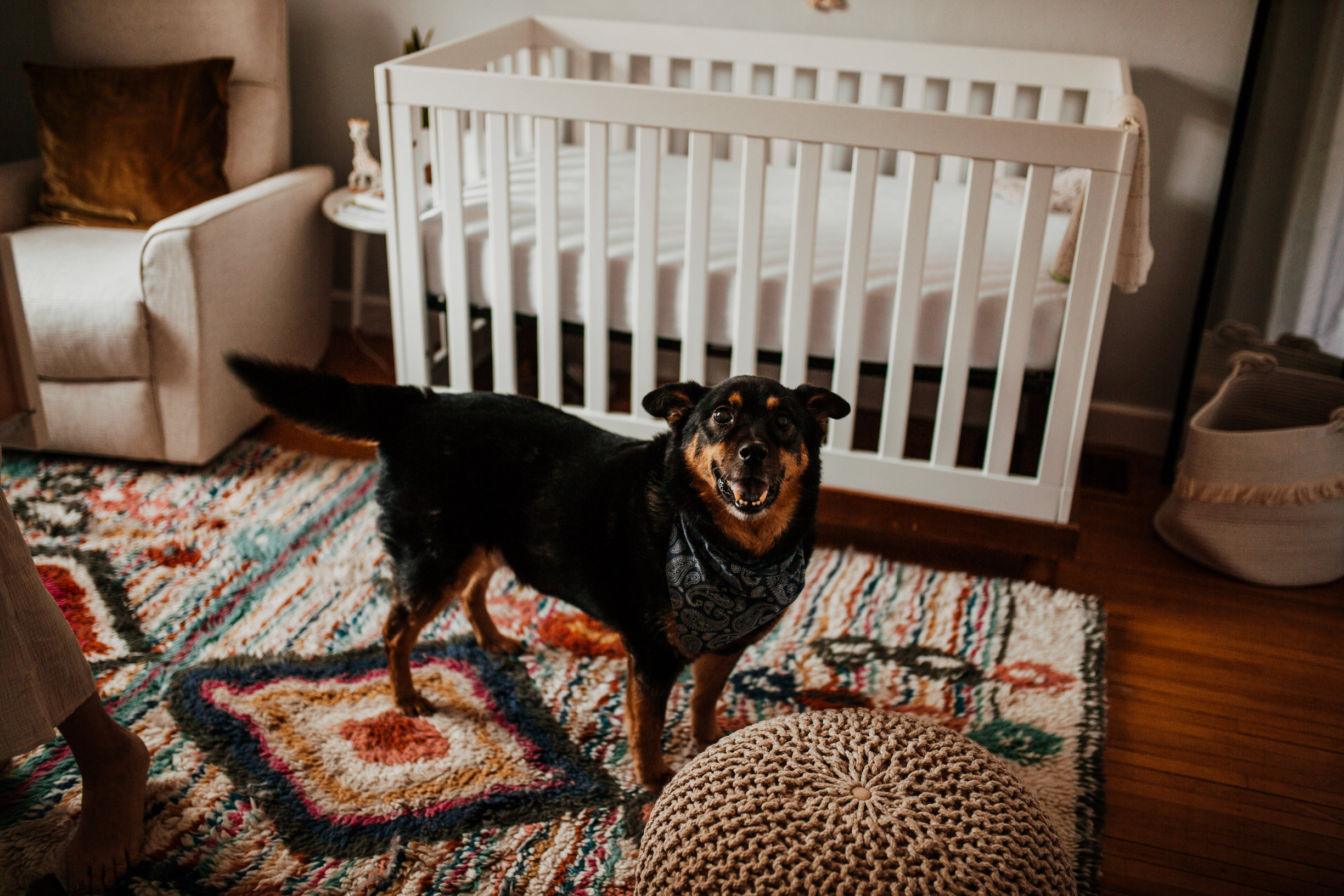 newborn-in-home-photography-kentucky-crystal-ludwick-photo (90 of 95).jpg