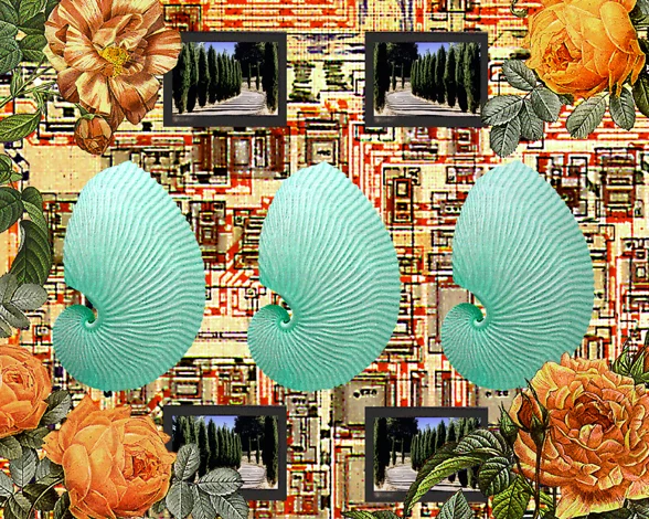 Shell Game Digital Collage Size Variable