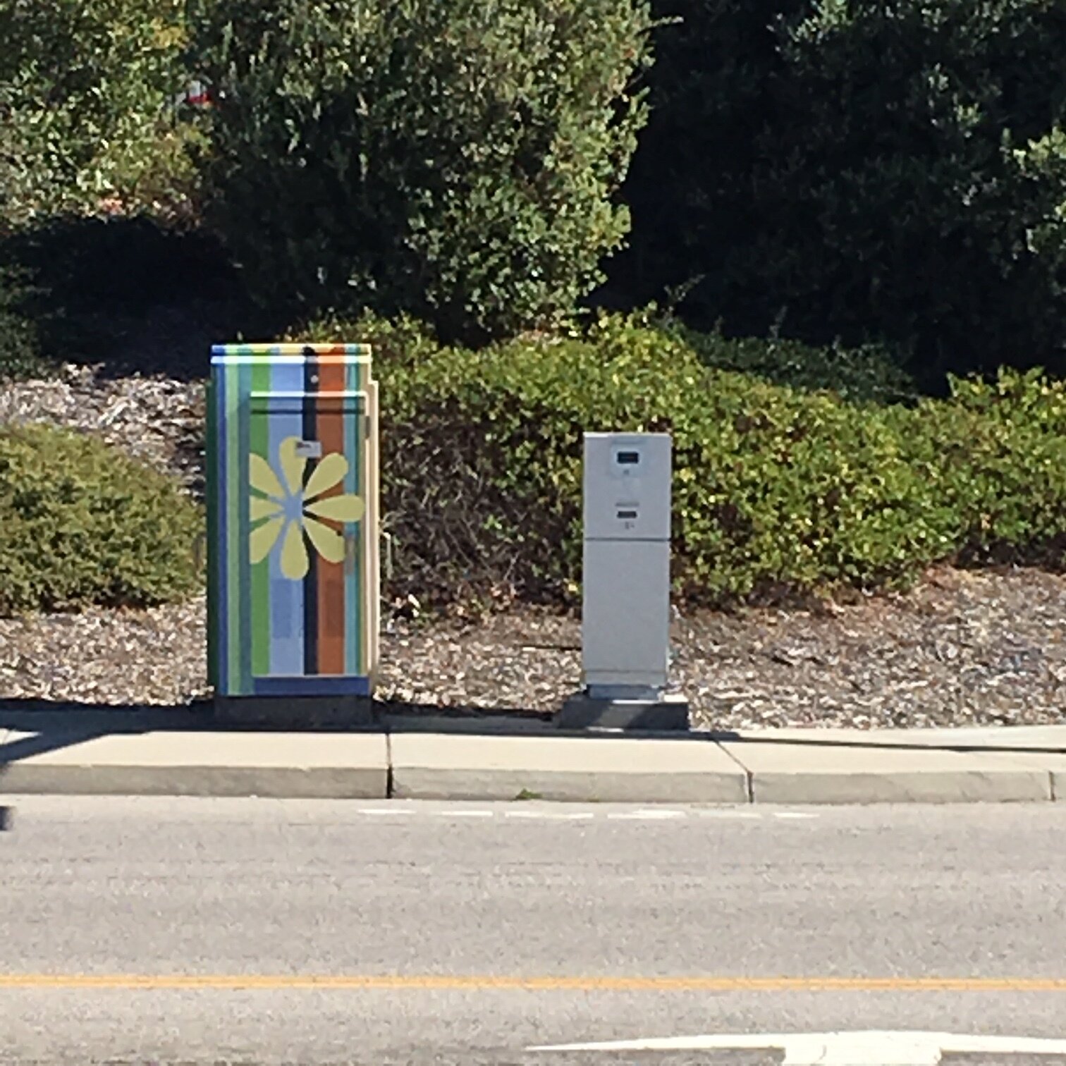    Flower Power   SLO Box Art Project Broad and Industrial Streets San Luis Obispo, CA 2018 