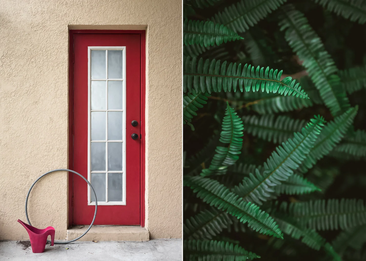 Red-Door-Diptych-Final.jpg