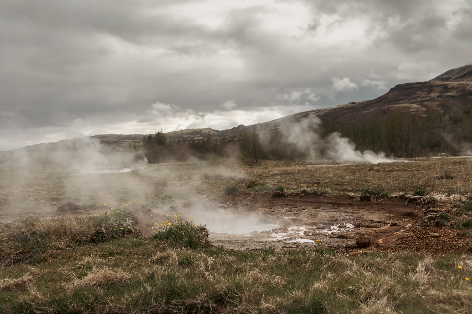 2026 Iceland -1.jpg