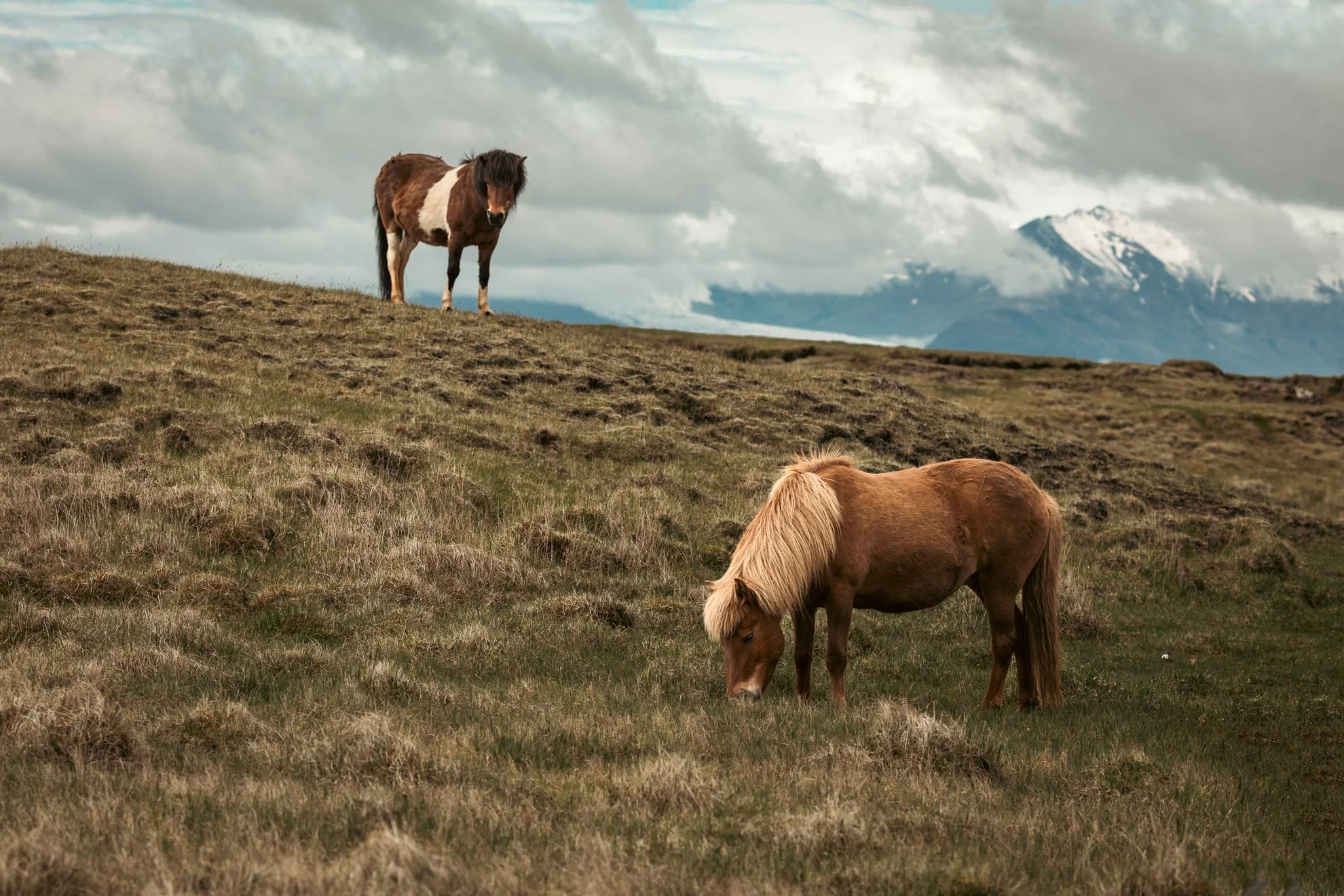 2026 Iceland -22.jpg