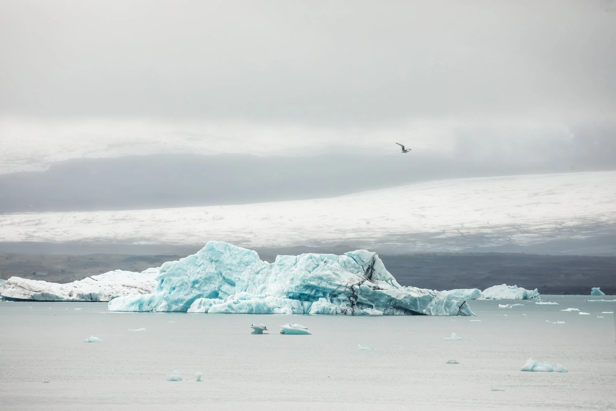 2026 Iceland -70.jpg