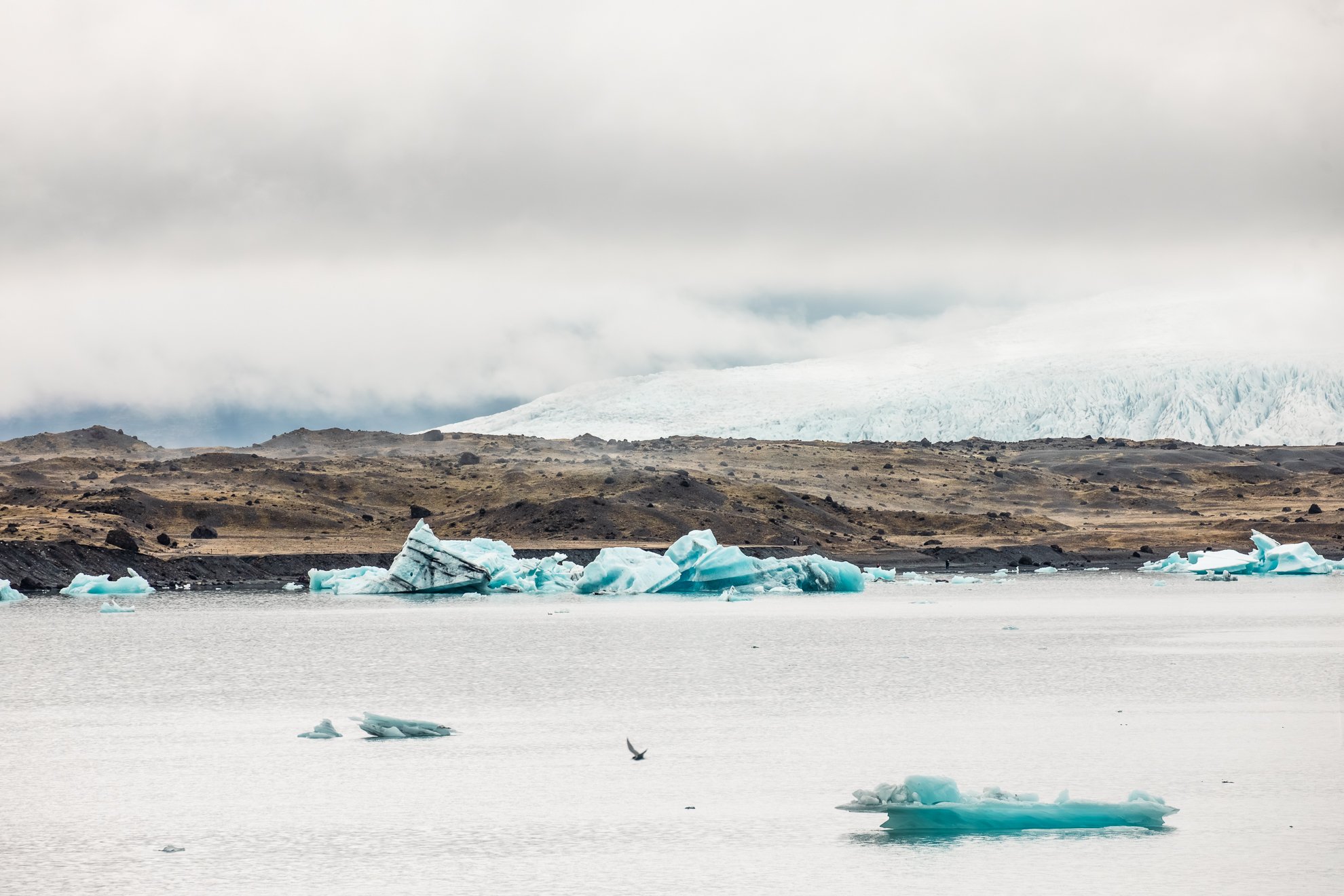 2026 Iceland -68.jpg