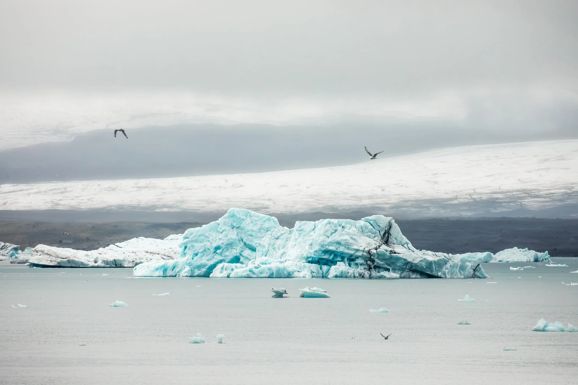 2026 Iceland -72.jpg