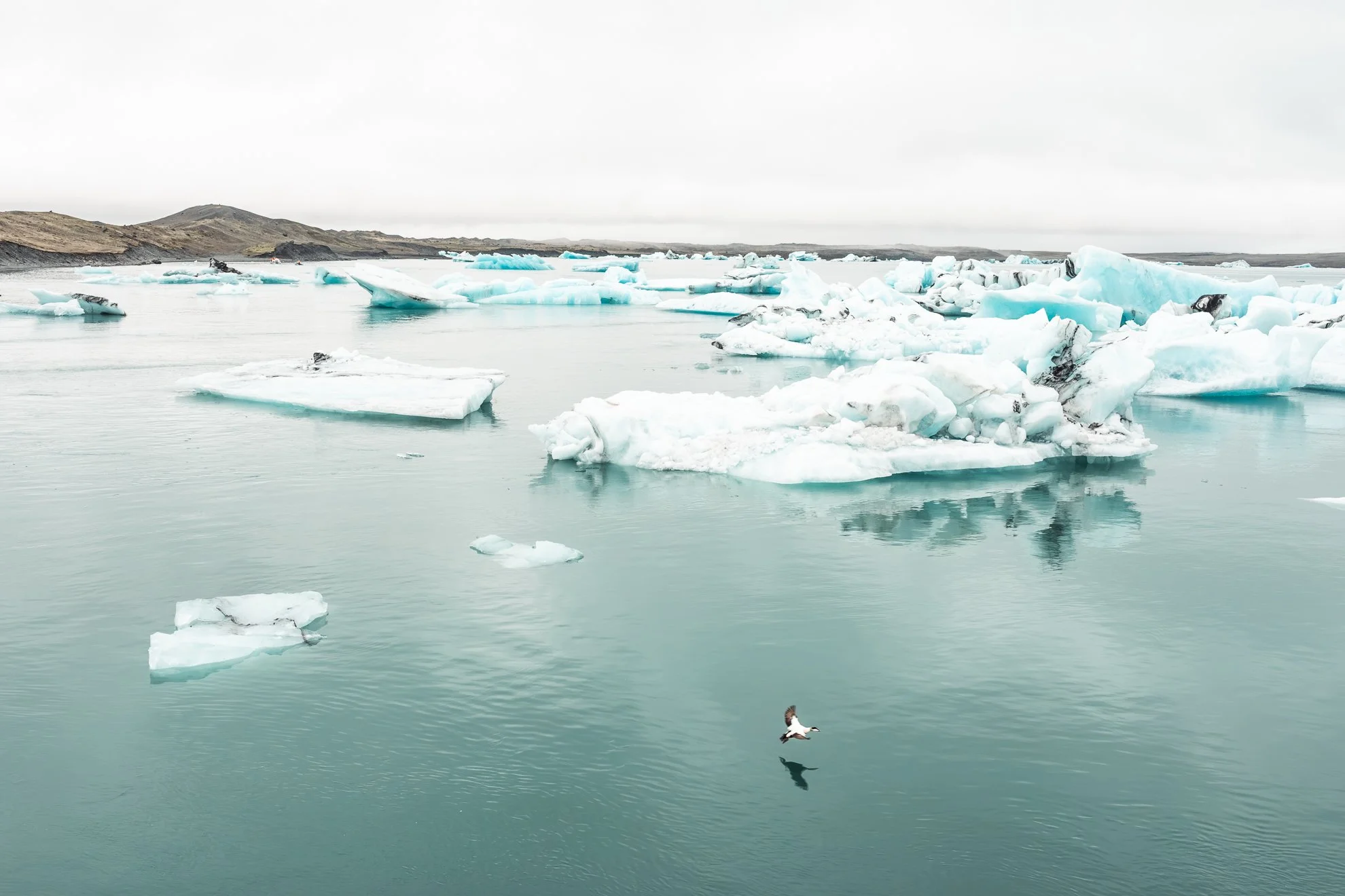 2026 Iceland -74.jpg
